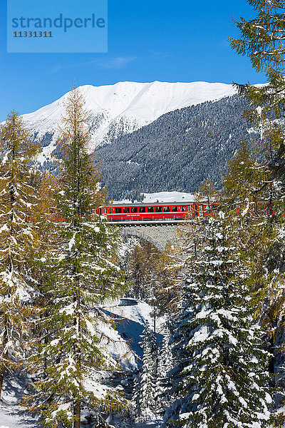 Albulabahn in Graubünden im Winter