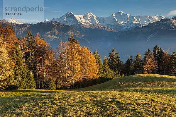 Aussichtspunkt Beatenberg im Kanton Bern mit Bergen  Eiger  Mönch Jungfrau