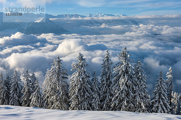 Blick von der Rigi Staffelhöhe im Winter auf die Zentralschweiz
