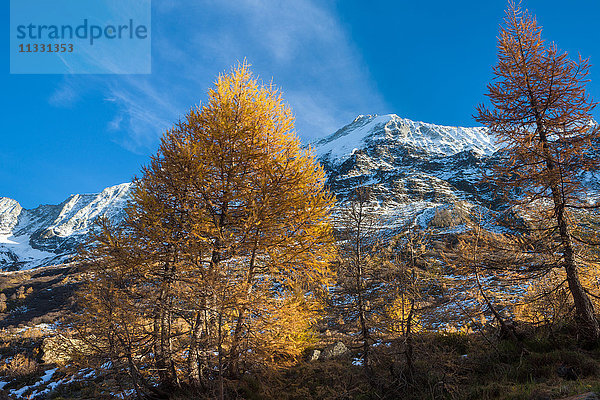 Herbst im Lötschental im Kanton Wallis
