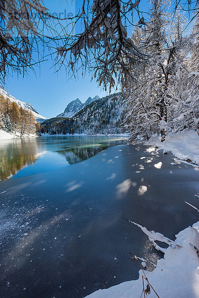 Palpuognasee im Winter in Graubünden