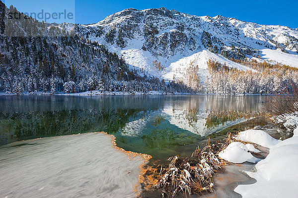 Palpuognasee im Winter in Graubünden