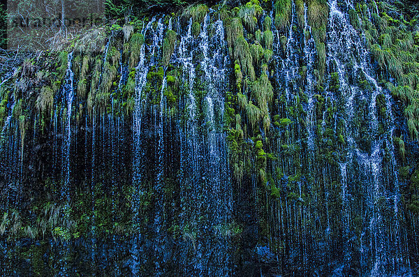Mossbrae Falls  Dunsmuir  Kalifornien