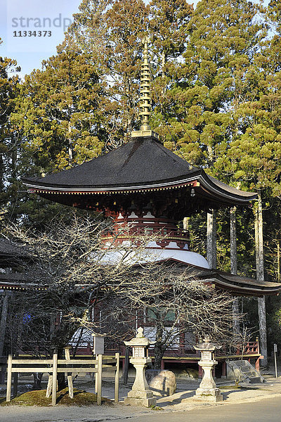 Japan  Koyasan  Berg Koya  Kongobuji-Tempel