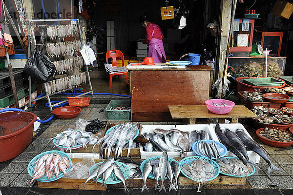 Südkorea  Busan  Fischmarkt