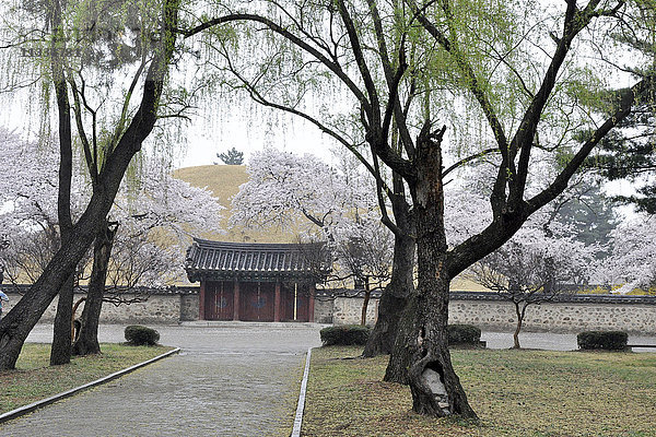 Südkorea  Gyeongju  Tumuli-Park und Bulguksa-Tempel