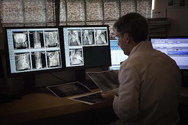 Reportage in einem radiologischen Zentrum in Haute-Savoie  Frankreich. Ein Radiologe betrachtet eine Röntgenaufnahme der Hüfte  auf der die Anfänge einer Arthrose zu erkennen sind.