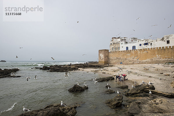 Marokko  Essaouira  Landschaft