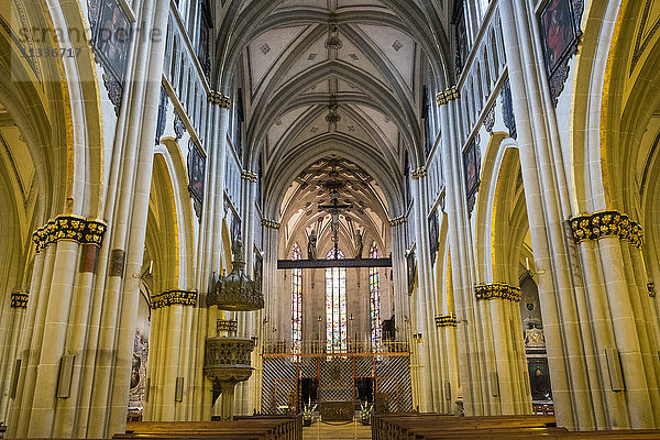 Schweiz  Kanton Freiburg  Freiburg  Kathedrale St. Nicolas