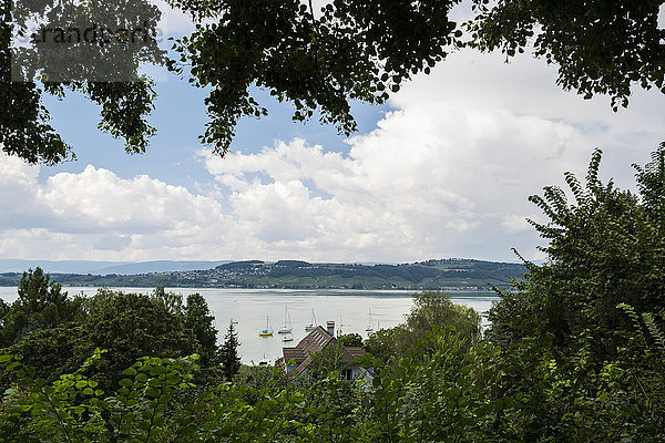 Schweiz  Kanton Freiburg  Murten  Morat  Landschaft