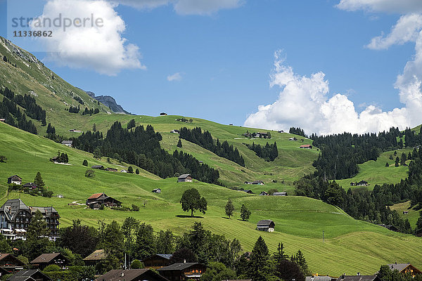 Schweiz  Kanton Waadt  Chateau d'Oex  Landschaft