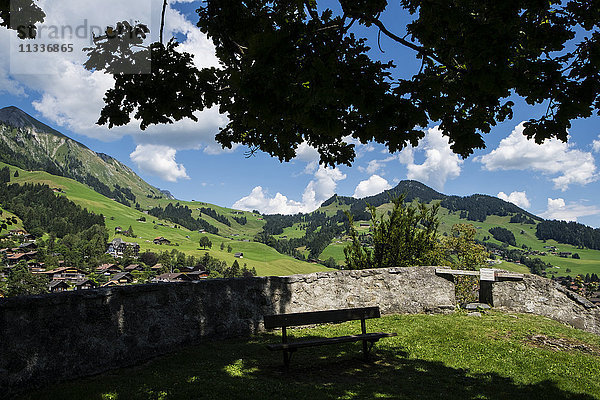 Schweiz  Kanton Waadt  Chateau d'Oex  Landschaft