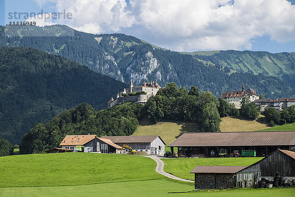 Schweiz  Kanton Fribourg  Greyerz  Landschaft