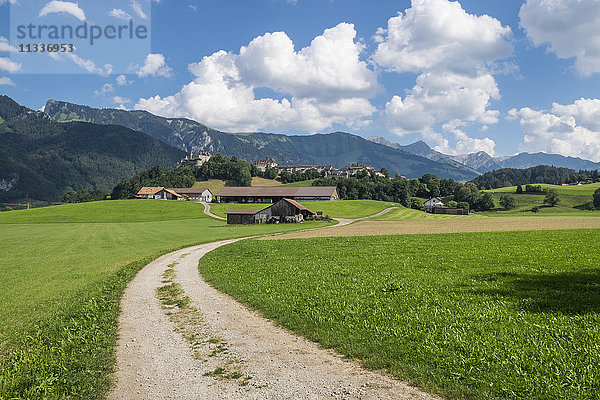 Schweiz  Kanton Fribourg  Greyerz  Landschaft