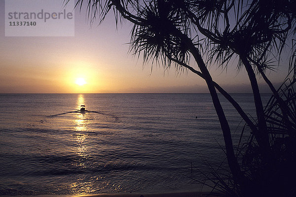 Tiwi-Inseln  Australien