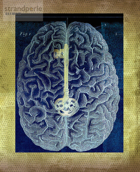 Goldener Schlüssel auf dem Diagramm eines Gehirns