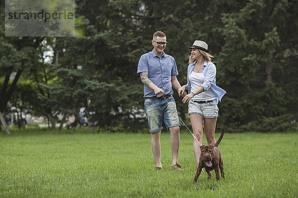 Ein junges Paar  das mit seinem Shar-pei/Staffordshire Terrier im Park spazieren geht.