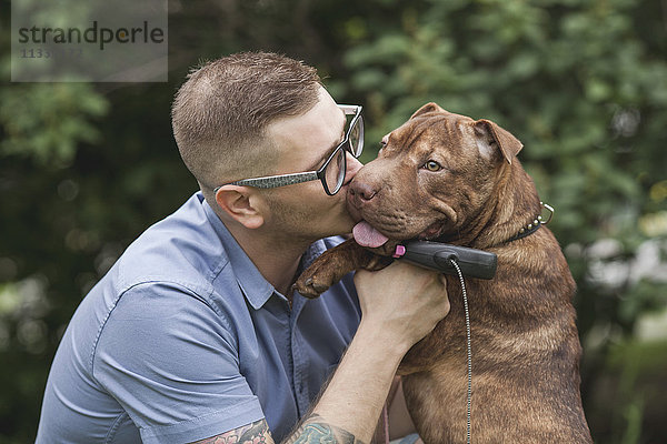 Ein junger Mann küsst seinen Staffordshire Terrier/Shar Pei Hund  Nahaufnahme