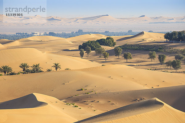 Remah-Wüste  Al Ain  Abu Dhabi  Vereinigte Arabische Emirate  Naher Osten