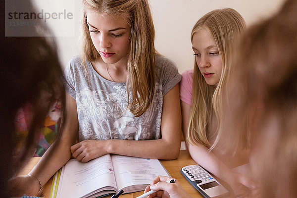 Teenager-Mädchen studieren zusammen zu Hause