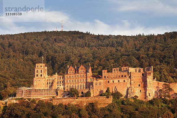 Schloss bei Sonnenuntergang  Heidelberg  Baden-Württemberg  Deutschland  Europa