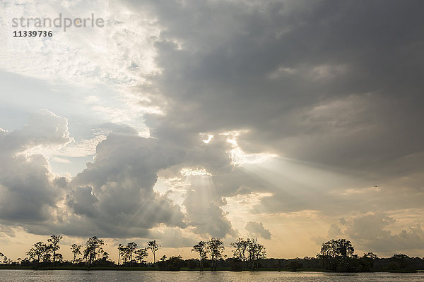 Sonnenaufgang durch die Wolken am Pacaya-Fluss  oberes Amazonasbecken  Loreto  Peru  Südamerika