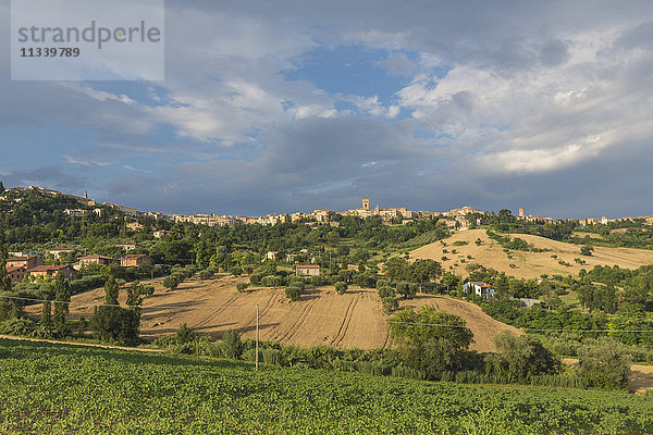 Die grünen Felder der Landschaft um die mittelalterliche Hügelstadt Recanati  Provinz Macerata  Marken  Italien  Europa