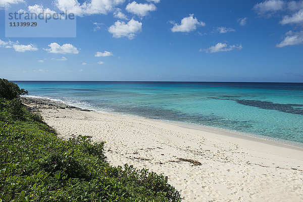 Schöner weißer Sandstrand und türkisfarbenes Wasser in Providenciales  Turks- und Caicosinseln  Karibik  Mittelamerika