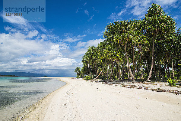 Türkisfarbenes Wasser und weißer Sandstrand  White Island  Buka  Bougainville  Papua-Neuguinea  Pazifik