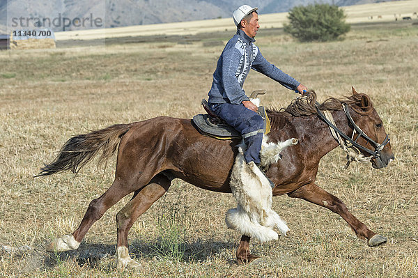 Traditionelle Kokpar (buzkashi) am Rande des Gabagly-Nationalparks  Shymkent  Südregion  Kasachstan  Zentralasien