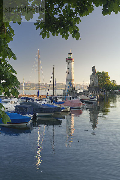 Leuchtturm und Bayerischer Löwe am Hafen bei Sonnenuntergang  Lindau  Bodensee  Bayern  Deutschland  Europa