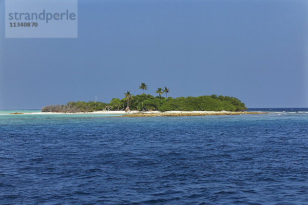 Insel Madivaru  Rasdhoo-Atoll  Malediven  Indischer Ozean  Asien