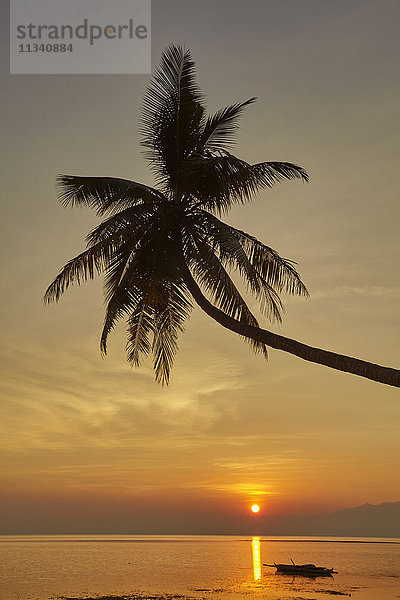 Silhouette einer Kokospalme bei Sonnenuntergang am Strand von Paliton  Siquijor  Philippinen  Südostasien  Asien