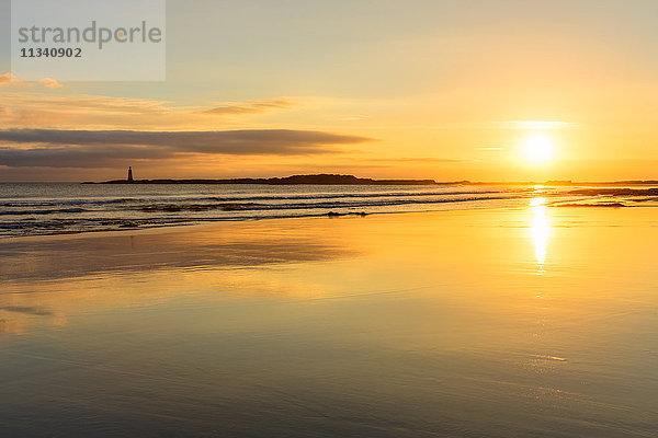 Sonnenaufgang am Seacliff Beach  East Lothian  Schottland  Vereinigtes Königreich  Europa