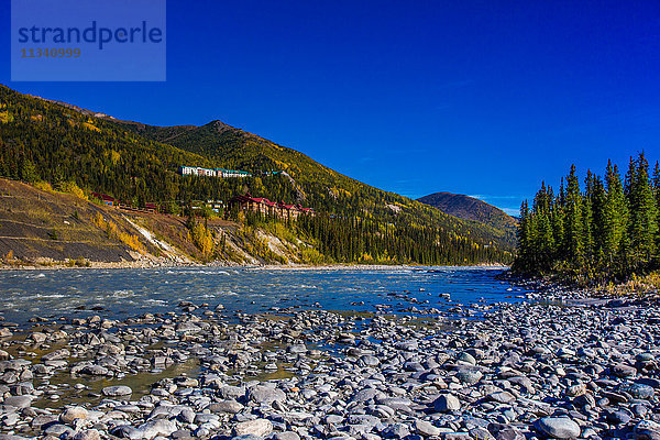 Horseshoe Lake Trail  Denali National Park  Alaska  Vereinigte Staaten von Amerika  Nordamerika