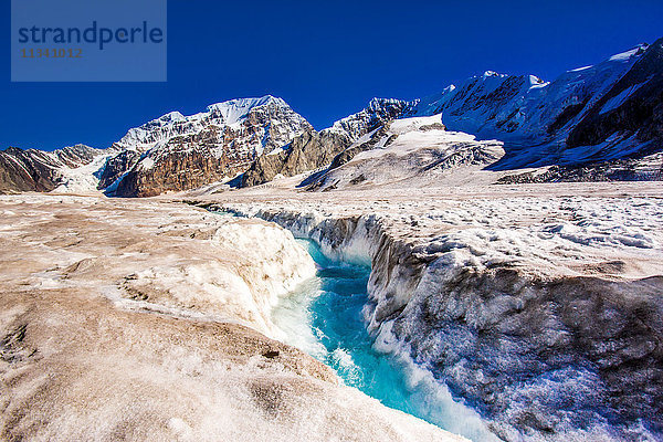 Hubschrauberlandung auf dem West Fork Glacier in Alaska  Vereinigte Staaten von Amerika  Nordamerika