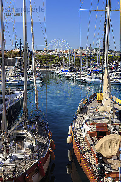 Vieux Port mit vielen Yachten  Riesenrad  Antibes  von der Bastion St.-Jaume  Antibes  Französische Riviera  Cote d'Azur  Provence  Frankreich  Europa