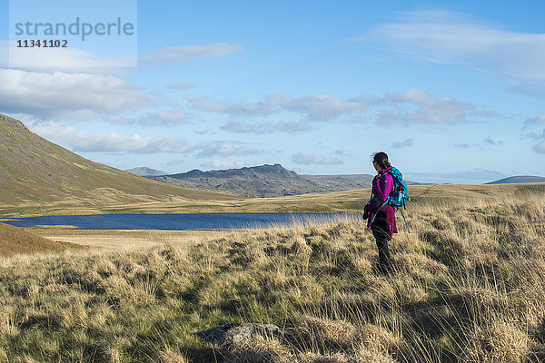 Eine Frau  die im englischen Lake District in Wasdale wandert  schaut in Richtung Burnmoor Tarn  Lake District National Park  Cumbria  England  Vereinigtes Königreich  Europa