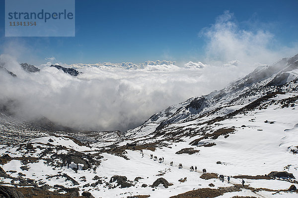 Packponys mit Trekking-Ausrüstung überqueren den Laurebina La von Langtang und steigen in die Wolken Richtung Helambu ab  Nepal  Himalaya  Asien