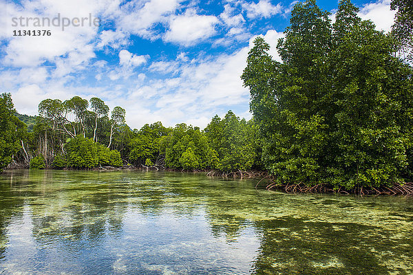 Kristallklares Wasser in der Utwe-Lagune  UNESCO-Biosphärenreservat  Kosrae  Föderierte Staaten von Mikronesien  Südpazifik