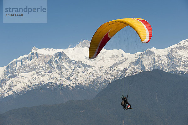 Ein Tandem-Paraglider fliegt über Pokhara mit Blick auf die Annapurnas  Nepal  Himalaya  Asien