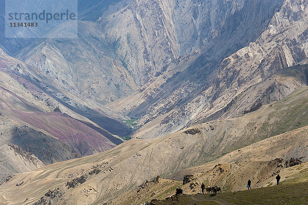 Wanderer und Ponys machen sich während des Hidden-Valleys-Treks in Ladakh  Himalaya  Indien  Asien  auf den Weg vom Konze La hinunter.