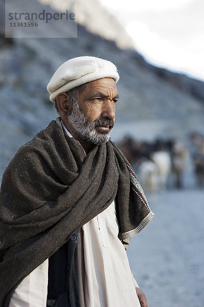 Ein Schafhirte in der Nähe von Gilgit  Gilgit-Baltistan  Pakistan  Asien