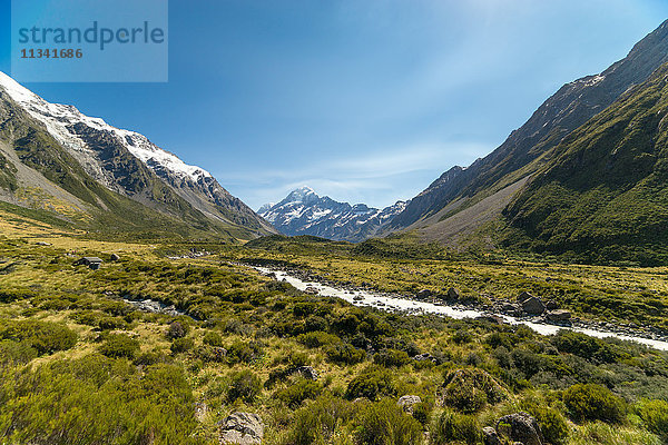Ein von einem Gletscher gespeister Bach durchschneidet ein grünes Tal hoch in den Bergen  Südinsel  Neuseeland  Pazifik