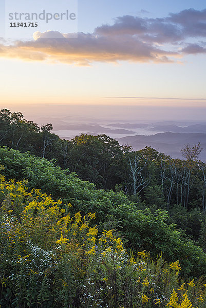 Goldene Stangen und Sonnenaufgang über den Blue Ridge Mountains  North Carolina  Vereinigte Staaten von Amerika  Nordamerika