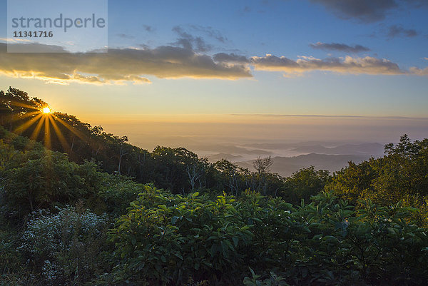 Sonnenaufgang über den Blue Ridge Mountains  North Carolina  Vereinigte Staaten von Amerika  Nordamerika