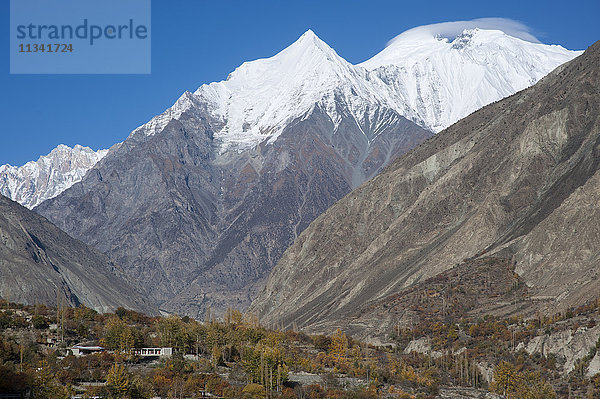 Der Diran-Gipfel überragt das Bagrot-Tal  Gilgit-Baltistan  Pakistan  Asien