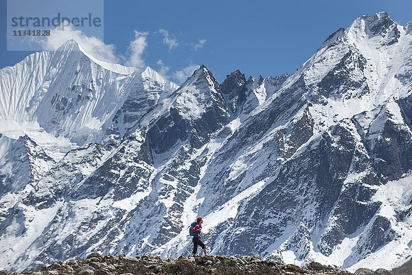 Trekking im Langtang-Tal mit Blick auf den Ganchempo in der Ferne  Langtang-Region  Himalaya  Nepal  Asien