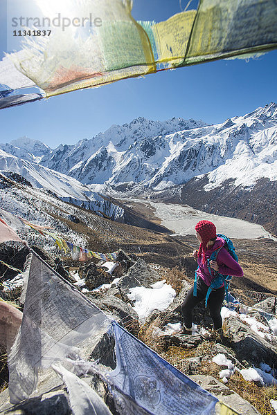 Eine Frau  die im Langtang-Tal in Nepal trekkt  steht auf dem Gipfel des Kyanjin Ri und blickt auf den Ganchempo in der Ferne  Langtang-Region  Nepal  Asien