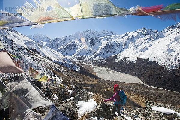 Eine Frau  die im Langtang-Tal in Nepal trekkt  steht auf dem Gipfel des Kyanjin Ri und blickt auf den Ganchempo in der Ferne  Langtang-Region  Himalaya  Nepal  Asien